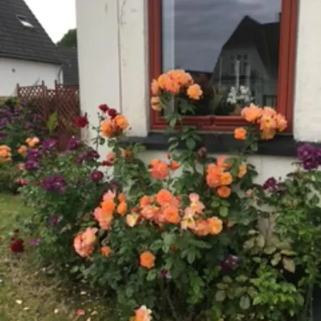 Pensionat Sondervang 3 Personers Vaerelse